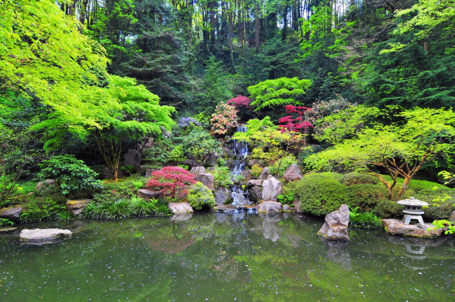 Обои картинки фото portland, japanese, garden, природа, парк, водоем, водопад, цветы, камешки, растения