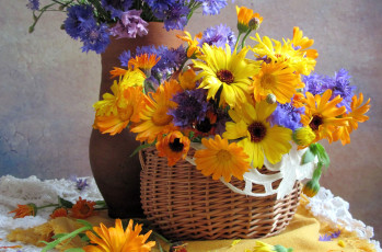 Картинка цветы луговые+ полевые +цветы васильки календула