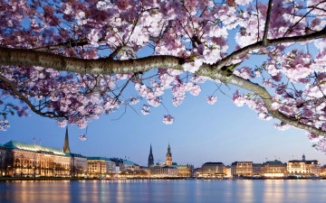 Картинка города гамбург+ германия цветки ветка цветущее дерево дома берег река hamburg