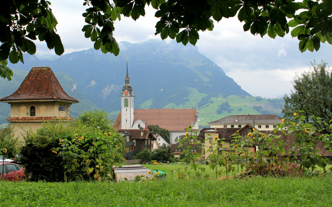 Обои картинки фото города, - пейзажи, листья, ветки, леса, поля, горы, подсолнух, трава, дома, городок, schwyz, швейцария