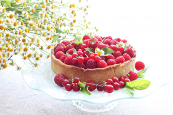 Картинка еда пироги вкусно выпечка ягоды десерт смородина малина пирог