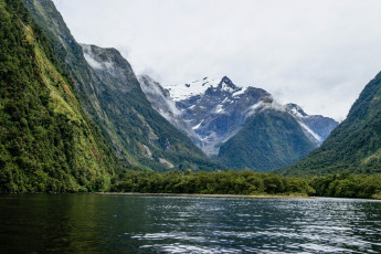 Картинка новая+зеландия природа реки озера водоем деревья