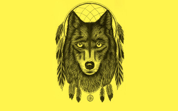 Картинка рисованное минимализм dream catcher волк перья ловец снов dreamcatcher wolf светлый фон