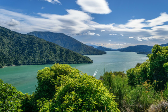 Обои картинки фото новая зеландия, природа, реки, озера, водоем, деревья, горы, облака
