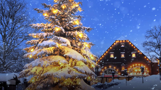 Обои картинки фото праздничные, Ёлки, снег, елка, дом