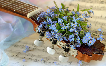 обоя музыка, -музыкальные инструменты, гитара, ноты, незабудки, голубые