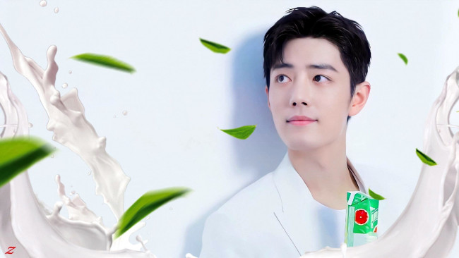 Обои картинки фото мужчины, xiao zhan, актер, листья, пачка