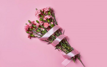 Картинка цветы гвоздики букет гвоздика розовая лента
