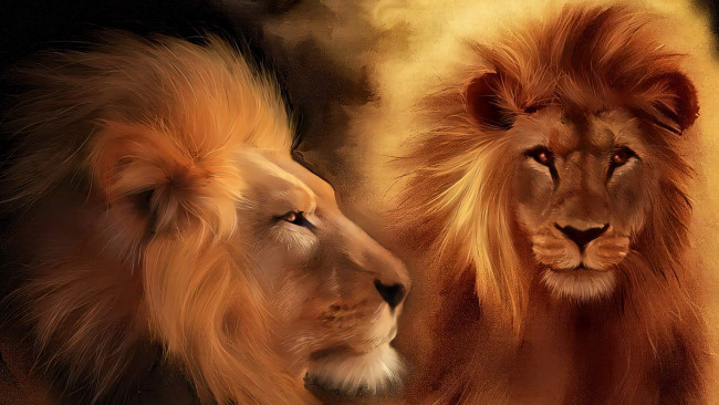 Обои картинки фото 295254, рисованное, животные,  львы, лев