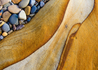 Картинка разное ракушки +кораллы +декоративные+и+spa-камни абстракции текстуры макро камни