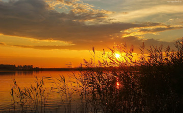 Картинка природа восходы закаты солнце облака вечер небо озеро камыши закат