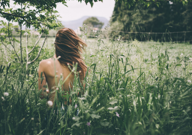 Обои картинки фото девушки, -unsort , брюнетки,  шатенки, спина, девушка, трава, поле, ветер