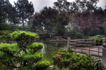 Картинка природа парк японский сад