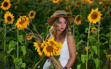 Картинка девушки -+блондинки +светловолосые поле подсолнухи шляпа
