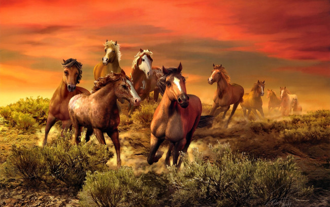 Обои картинки фото the, wild, bunch, рисованные, roberta, wesley, кони