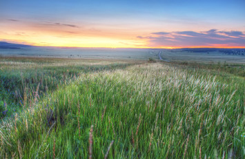 Картинка природа поля поле трава горизонт дорога заря