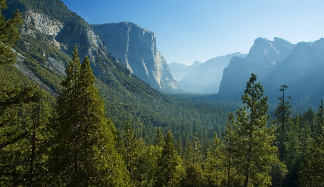 Обои картинки фото california, yosemite, national, park, природа, горы, ели