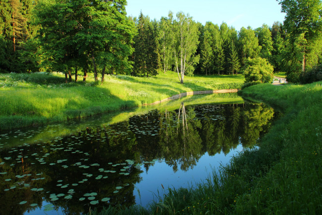 Обои картинки фото россия, санкт, петербург, павловск, природа, реки, озера, река, лес, трава