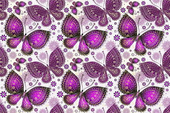 Картинка векторная+графика животные крылья узор бабочки