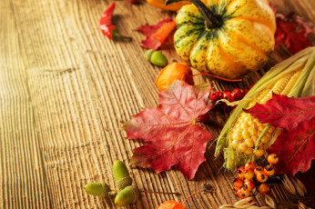 обоя еда, овощи, осень, кукуруза, тыква, урожай, листья, желуди