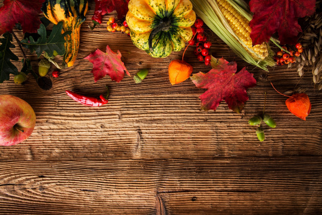 Обои картинки фото еда, фрукты и овощи вместе, тыква, урожай, кукуруза, осень, листья, желуди