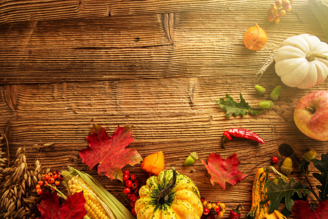 Обои картинки фото еда, фрукты и овощи вместе, урожай, тыква, желуди, кукуруза, листья, осень