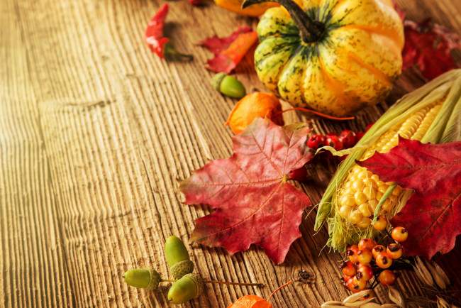 Обои картинки фото еда, овощи, осень, кукуруза, тыква, урожай, листья, желуди