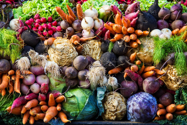 Обои картинки фото еда, овощи, редис, свекла, морковь, капуста, зелень