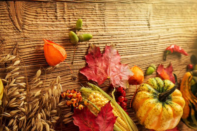 Обои картинки фото еда, овощи, урожай, тыква, кукуруза, желуди, листья, осень