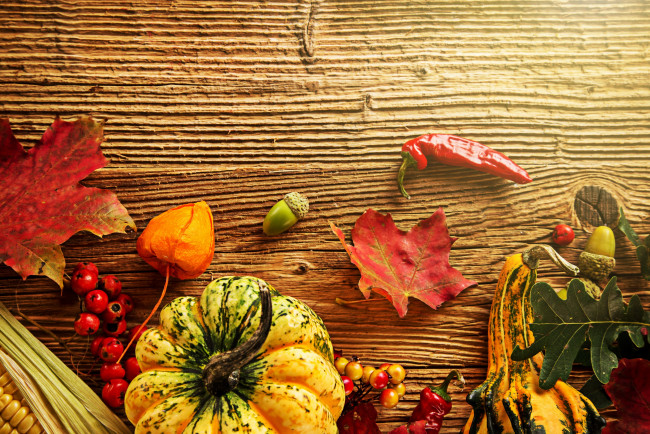 Обои картинки фото еда, тыква, урожай, осень, кукуруза, листья, желуди