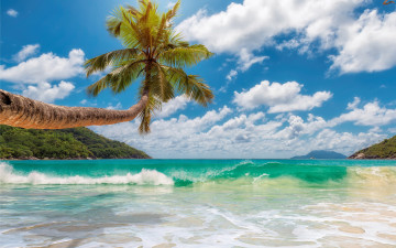 Картинка природа тропики beach sand summer tropical island берег пляж palms sea солнце песок море пальмы paradise