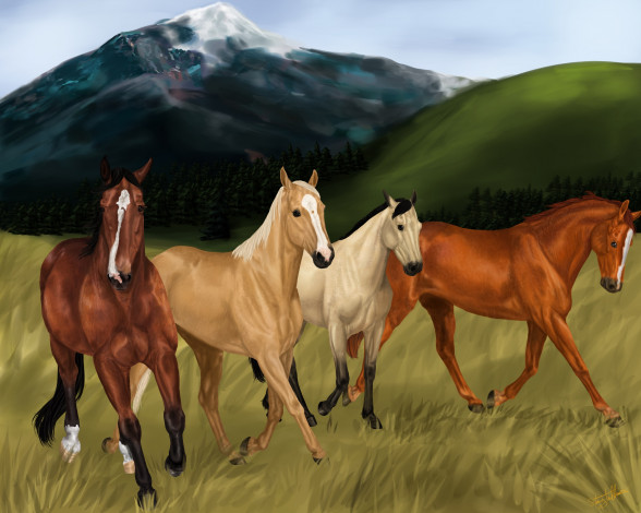 Обои картинки фото рисованное, животные,  лошади, лошади