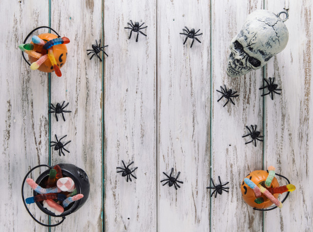 Обои картинки фото праздничные, хэллоуин, паук, праздник, мармелад, череп