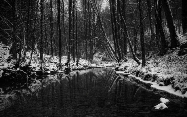 Обои картинки фото природа, реки, озера, лес, чёрно-бело, зима