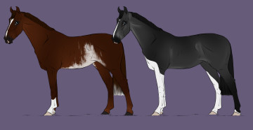 Картинка векторная+графика животные+ animals лошади фон