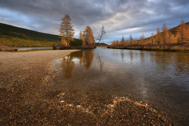 Обои картинки фото природа, реки, озера, деревья, осень, колыма, максим, евдокимов, ручей, неведомый