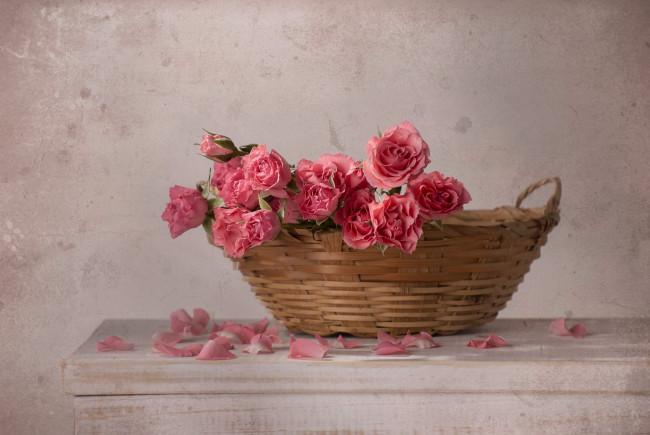 Обои картинки фото цветы, розы, корзинка, лепестки