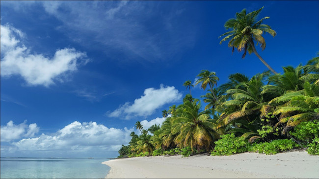 Обои картинки фото seychelles beach, природа, тропики, seychelles, beach