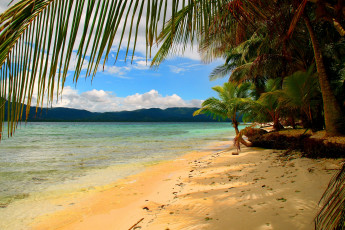 Картинка природа тропики песок вода пальмы