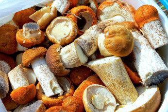 Картинка еда грибы грибные блюда лесные дары