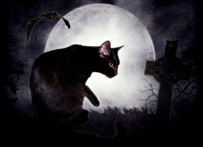 Обои картинки фото фэнтези, другое, ночь, крест, летучая, мышь, луна, кошка