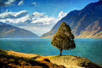 Картинка природа деревья новая зеландия озеро горы пейзаж