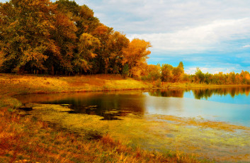 обоя природа, реки, озера, озеро, осень, деревья, желтые, кроны