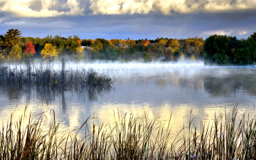обоя утро, природа, реки, озера, озеро, трава, туман, тишина