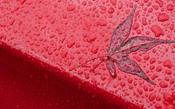 Картинка разное капли брызги всплески лист дождь