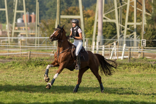 Обои картинки фото спорт, конный спорт, скачки, жокей, лошадь, ипподром