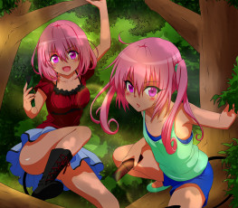Картинка аниме to+love+ru nana asta deviluke momo velia девушки лес взгляд фон