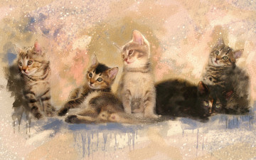 Картинка рисованное животные +коты акварель котята мазки разводы картина живопись смотрят милашки серые