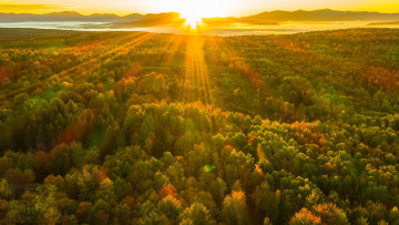 Картинка красота природа лес осень восход рассвет утро солнечный свет