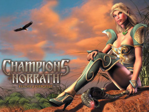 Картинка видео игры champions of norrath realms everquest